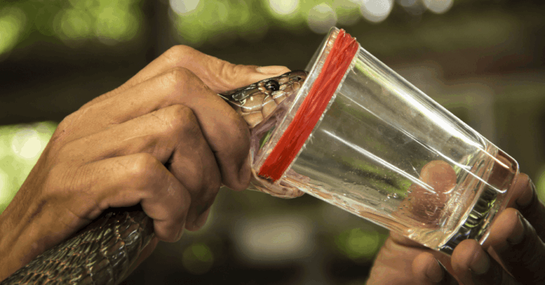Quirky Jobs You Didn’t Know Existed