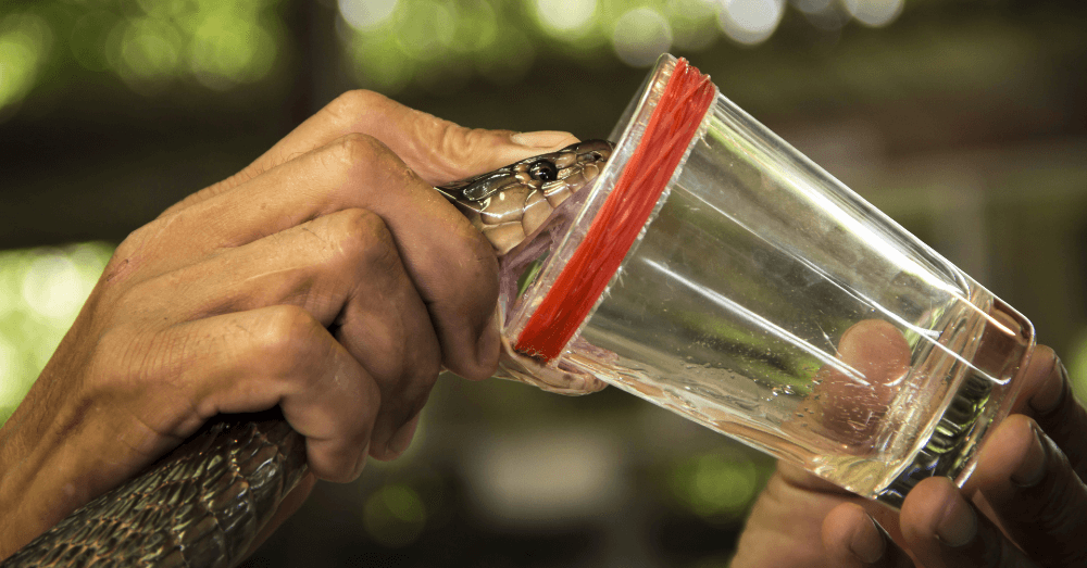 Quirky Jobs You Didn’t Know Existed