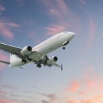 Real-Life Snake On a Plane Grounds Virgin Australia Flight