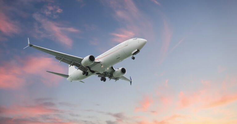 Real-Life Snake On a Plane Grounds Virgin Australia Flight