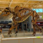 Mastodon in the Backyard: The Man Who Unearthed Prehistoric Ohio