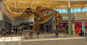 Mastodon in the Backyard: The Man Who Unearthed Prehistoric Ohio