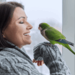 Pet Parrots Actually Know Who You Are, According to a Huge New Study