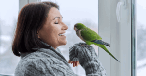 Pet Parrots Actually Know Who You Are, According to a Huge New Study